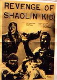 Revenge of Shaolin Kid