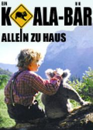 Ein Koala-Bär allein zu Haus
