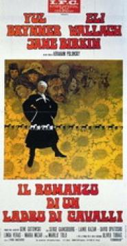 Ein Kerl zum Pferdestehlen