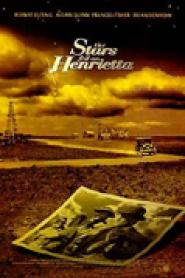 Der Wunderliche Mr. Cox