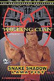 Snake Shadow Lama Fist