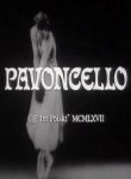 Pavoncello