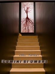 Lumini si umbre: Partea I