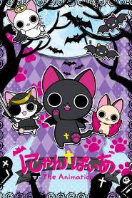 Nyanpire - The Vampire Cat