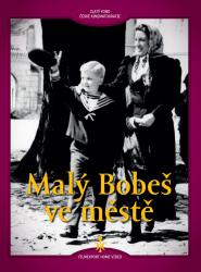 Der Kleine Bobesch in der Stadt