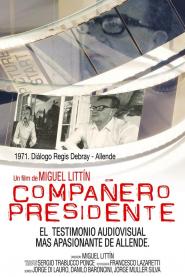 Compañero presidente