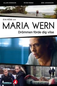 Maria Wern, Kripo Gotland: Stille Wasser