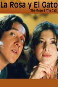 La Rosa y el gato