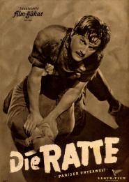 Die Ratte