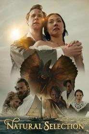 Natural Selection (Proof of Concept)