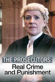 The Prosecutors: Real Crime and Punishment (2016)