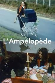 'Ampélopède, L (1974)