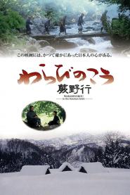 To the Bracken Fields