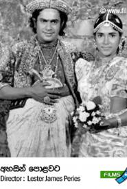 Weiße Blumen für die Toten