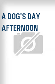 A Dog's Day Afternoon
