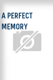 A Perfect Memory