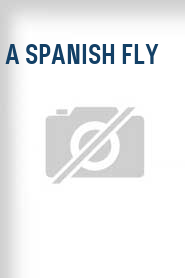A Spanish Fly