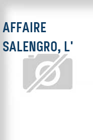 Affaire Salengro, L'