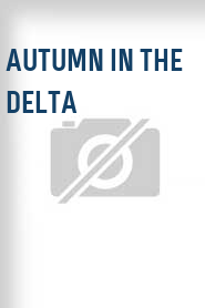 Autumn in the Delta
