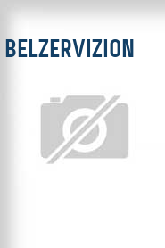 BelzerVizion