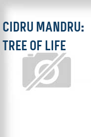 Cidru Mandru: Tree of Life