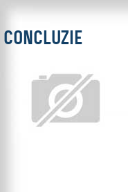 Concluzie