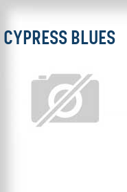 Cypress Blues