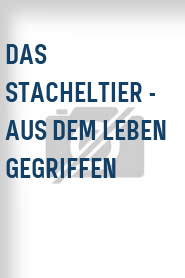 Das Stacheltier - Aus dem Leben gegriffen