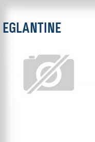 Eglantine