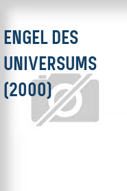 Engel des Universums (2000)
