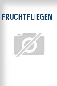 Fruchtfliegen