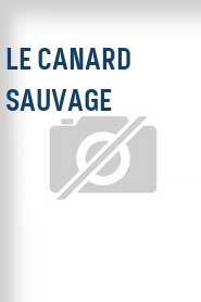 Le Canard sauvage