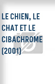 Le Chien, le chat et le cibachrome (2001)
