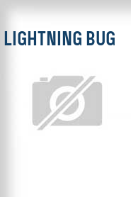Lightning Bug