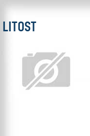 Litost