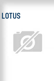 Lotus