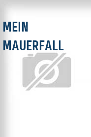 Mein Mauerfall