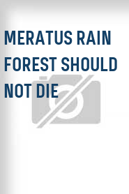 Meratus Rain Forest Should Not Die
