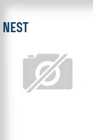 Nest