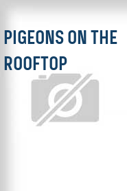 Pigeons on the Rooftop