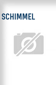 Schimmel