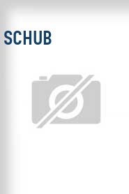Schub