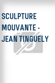 Sculpture Mouvante - Jean Tinguely