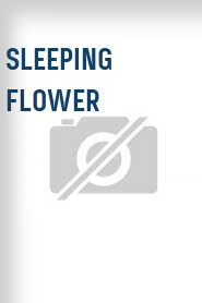 Sleeping Flower