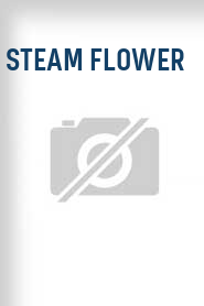 Steam Flower