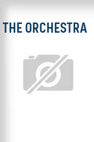 The Orchestra