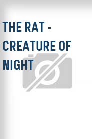 The Rat - Creature of Night
