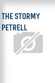 The Stormy Petrell