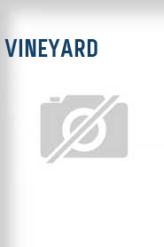 Vineyard
