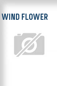Wind Flower